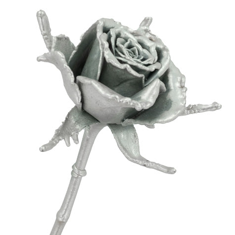 aluminum coated real rose close up