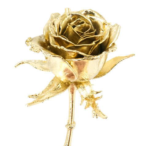 Brass coated real rose for 21st anniversary brass gift tradition