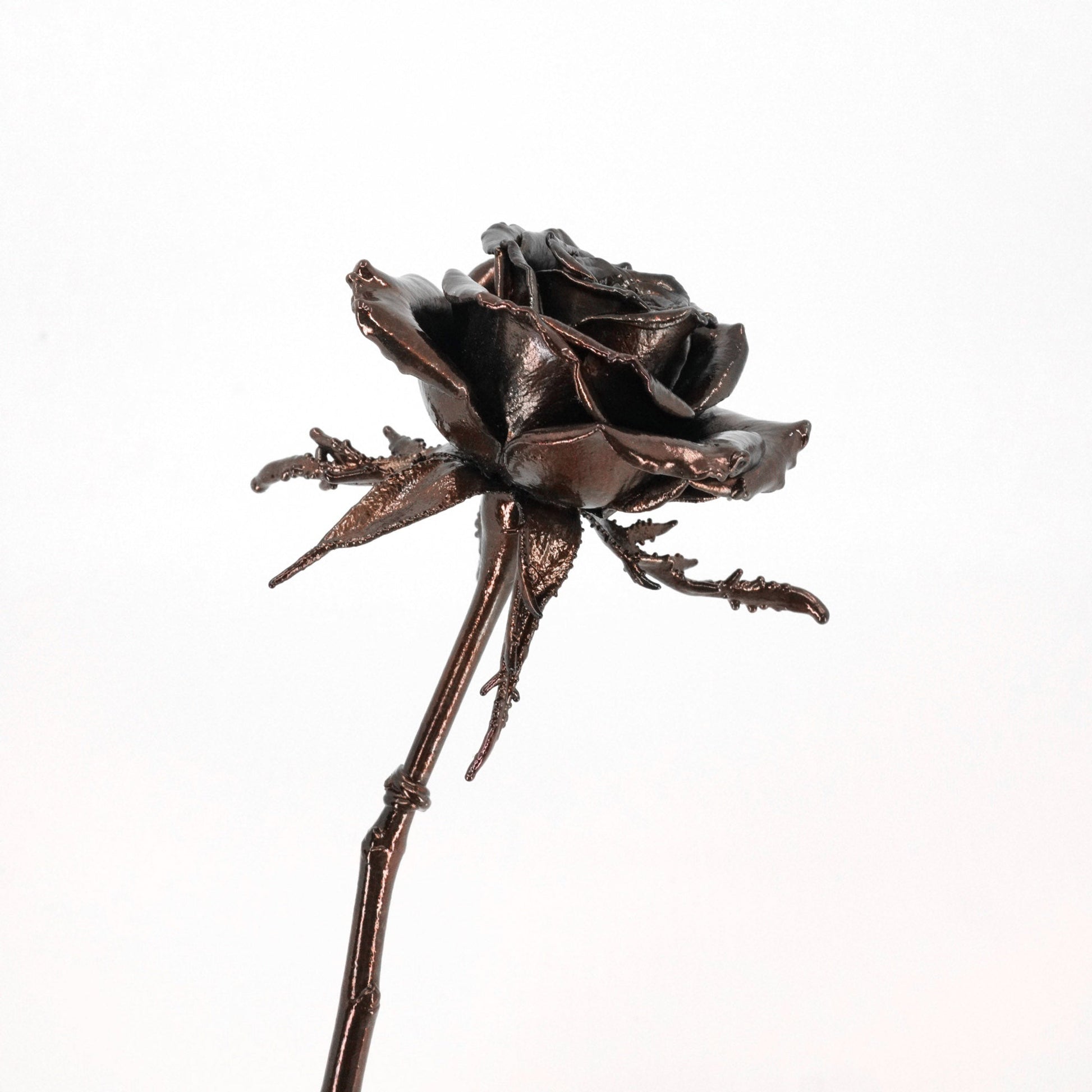 Bronzed real rose 8th anniversary gift on white background