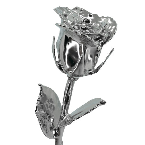 platinum covered real rose for 20th platinum anniversary gift