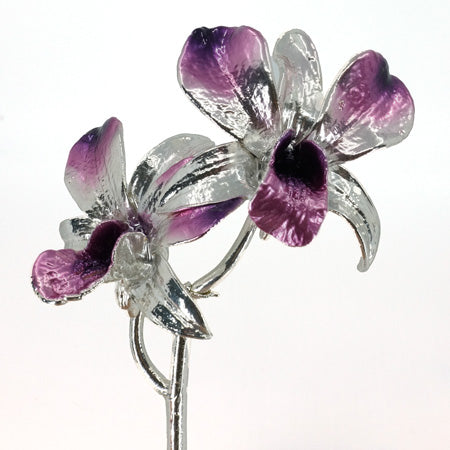 Silver preserved real orchid