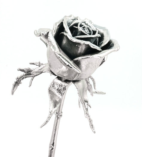 silver covered real rose for 25th anniversary traditional silver gift