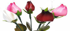 Gold & Silver Roses