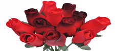 Gold & Silver Roses