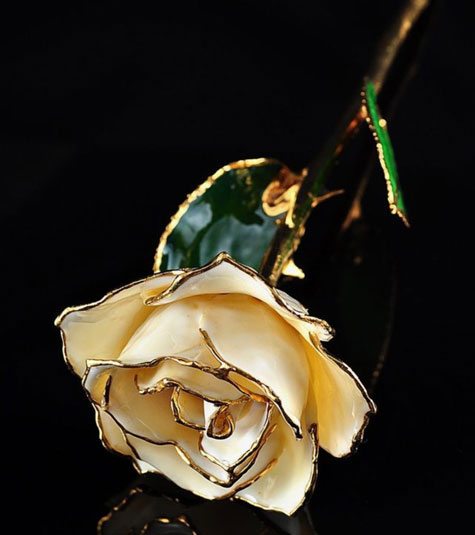 http://romanceher.com/product-photos/ivory-rose-gold1b.jpg