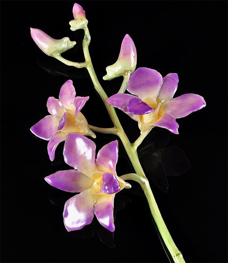Lacquer preserved orchid