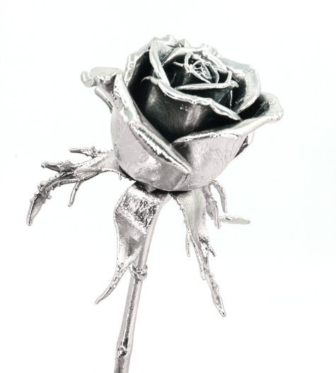 Silver Coated Real Rose Close Up