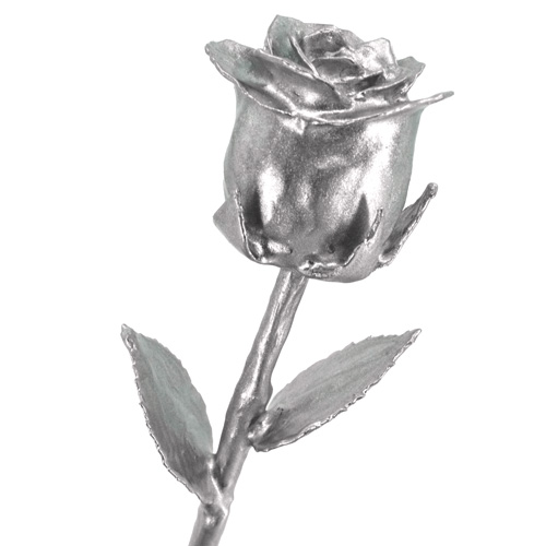 Steel covered real rose close up