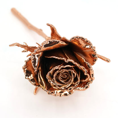 Copper Roses