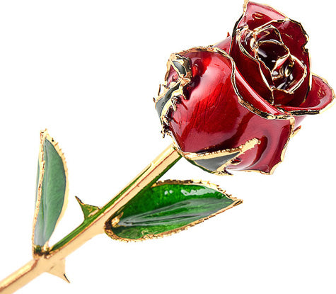 glazed real rose with gold trim