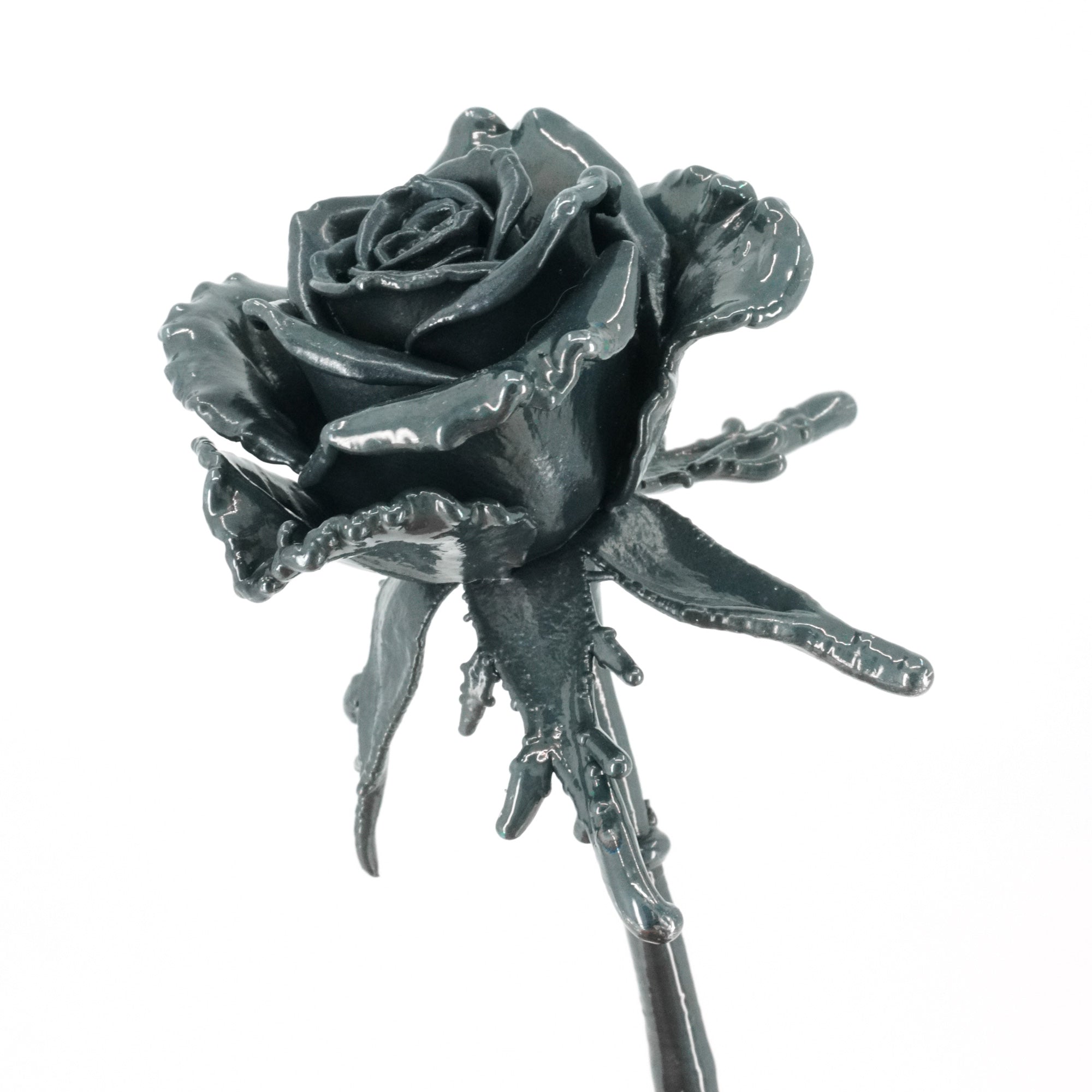 Iron Covered Real Roses - 6th Anniversary Traditional Iron Gift
