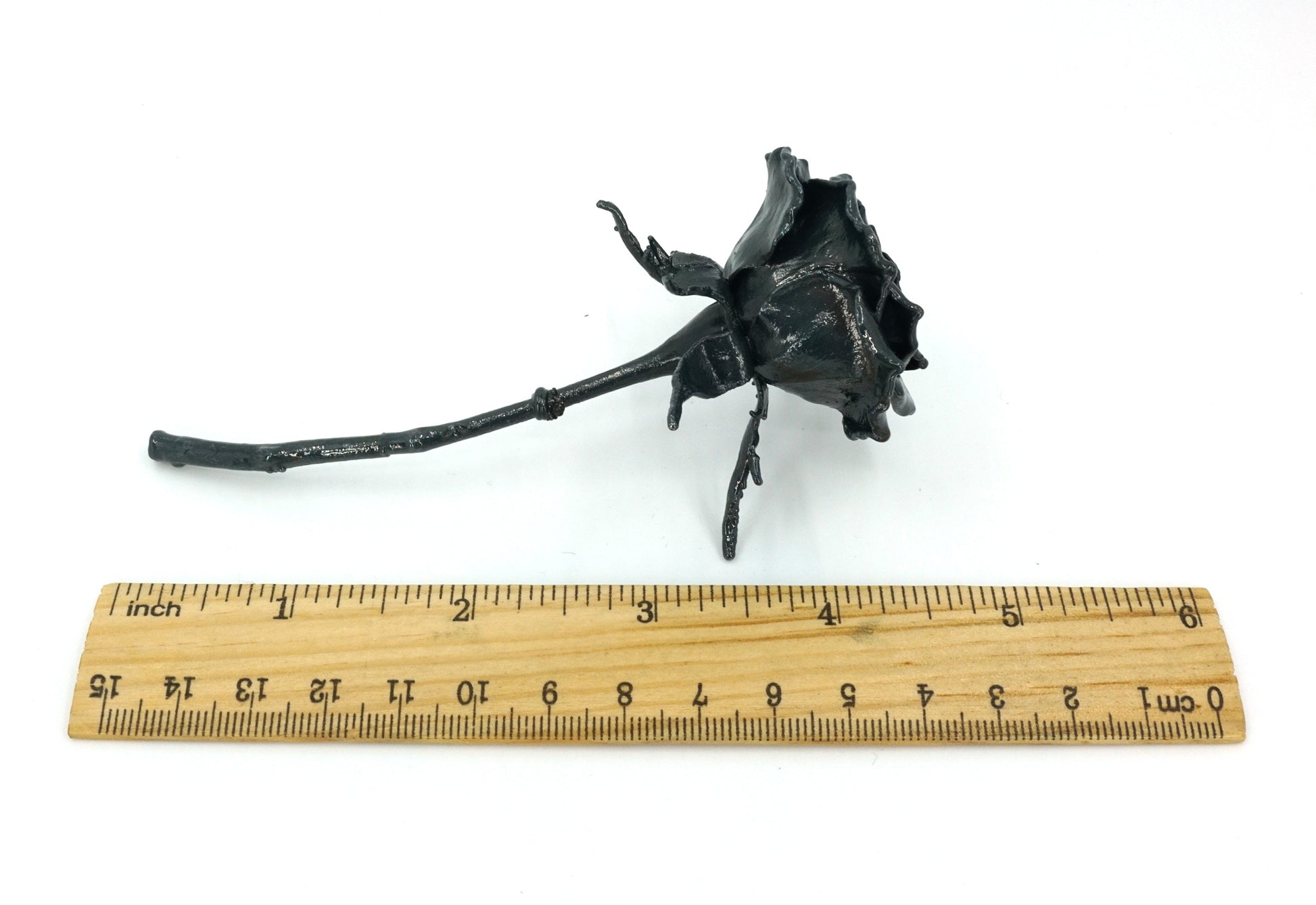 iron covered real rose on size showing length of 5 inches by ruler