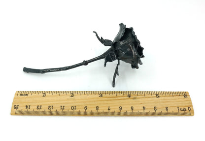 iron covered real rose on size showing length of 5 inches by ruler