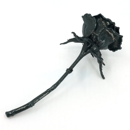 iron coated preserved real rose