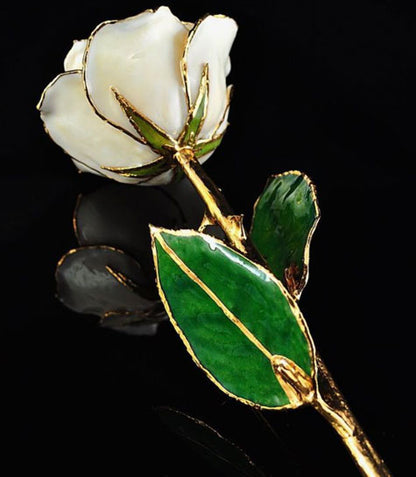 ivory color white preserved real rose for 14th ivory anniversary traditional gift